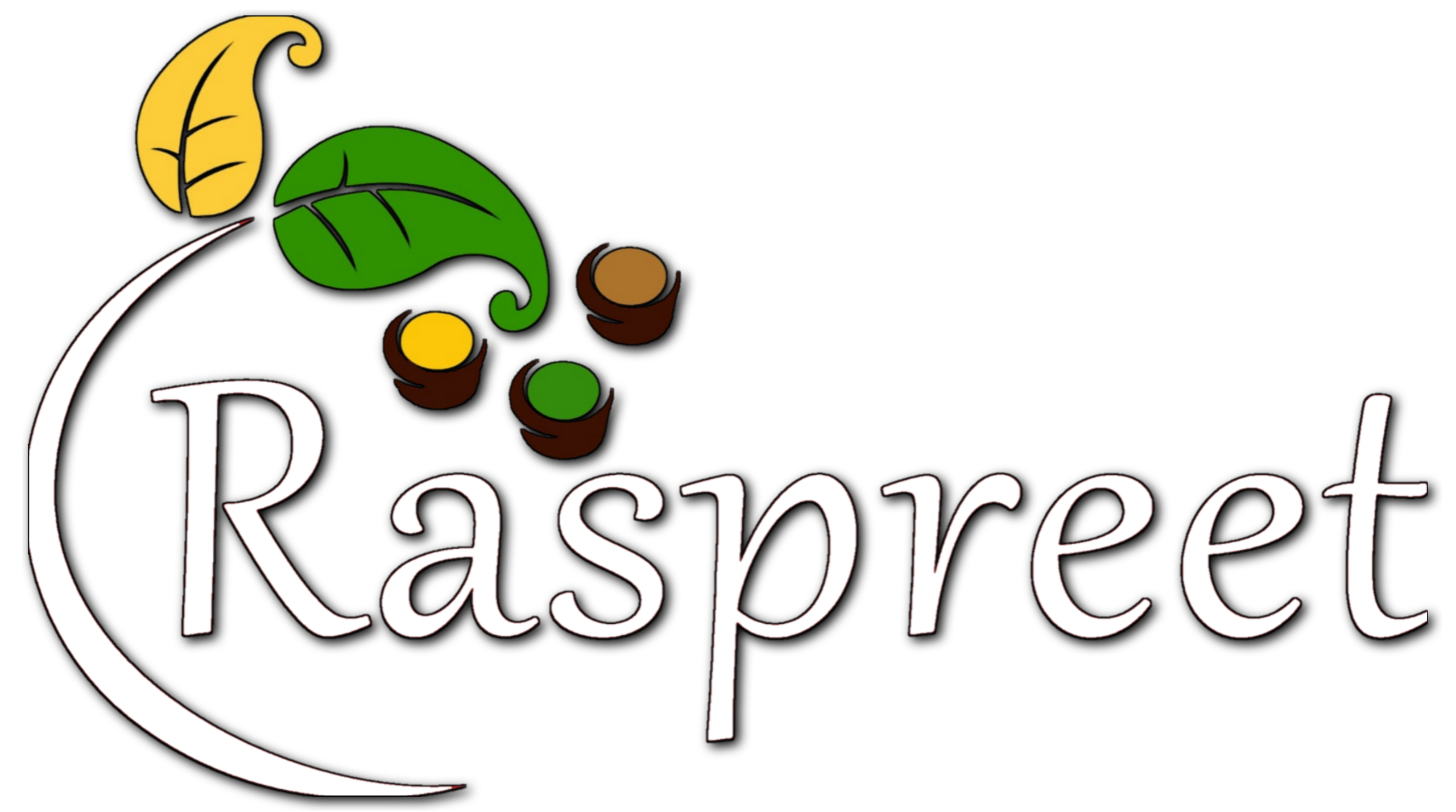 Raspreet Masala premium spice blends